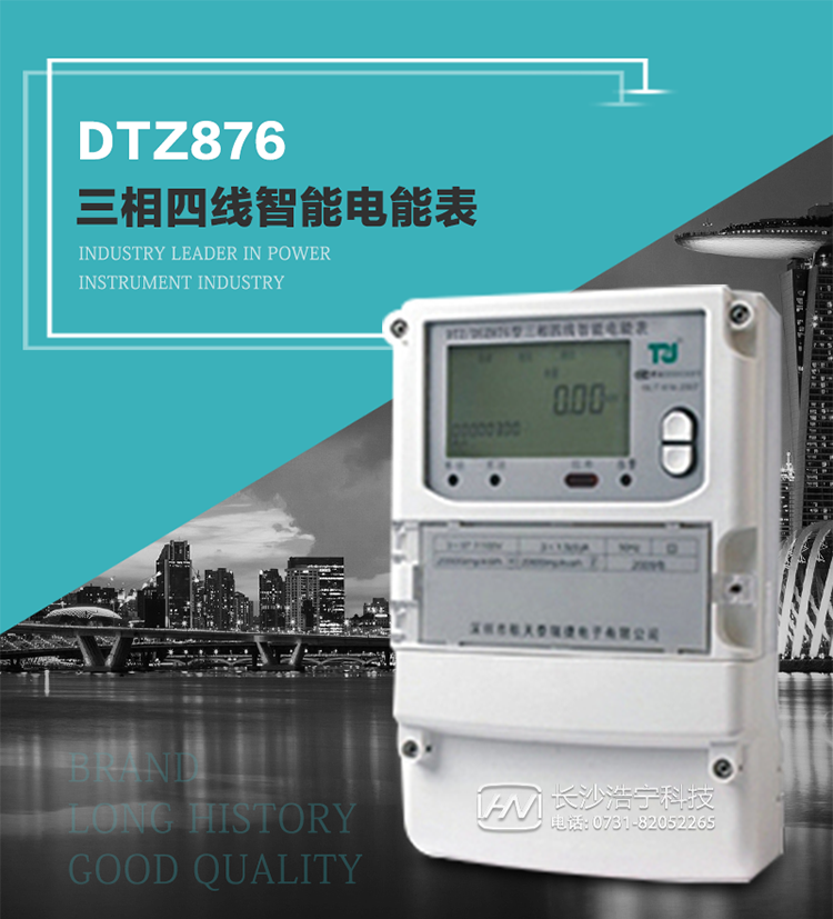 DTZ876型智能電能表是采用大規模集成電路，應用數字采樣處理技術及SMT工藝，根據工業用戶實際用電狀況所設計制造的具有現代先進水平的儀表。
該表性能指標符合GB/T 17215.321-2008《交流電測量設備 特殊要求》第21部分靜止式有功電能表（1級和2級）、GB/T 17215.322-2008《交流電測量設備 特殊要求》第22部分靜止式有功電能表（0.2S級和0.5S級）國家標準和DL/T 614–2007《多功能電能表》標準，其通信符合DL/T645–2007《多功能電能表通信協議》的要求，并兼容DL/T645–1997《多功能表通信規約》的要求，可根據功能定制需求符合多功能電能表的各項技術要求。