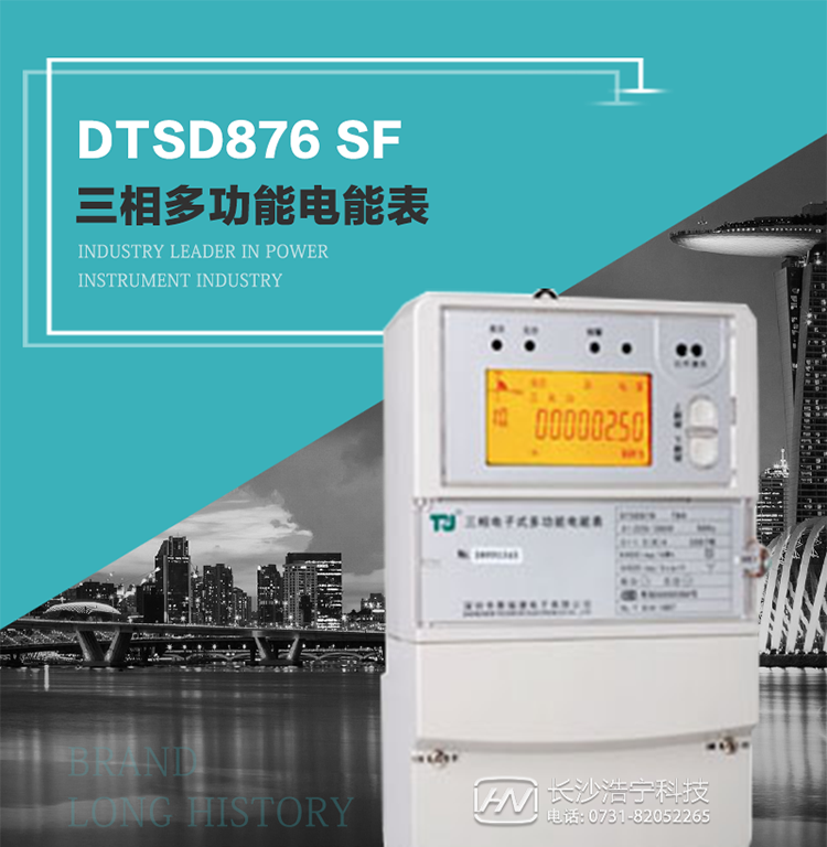 產品型號：DTSD876 SF型 三相多功能電能表
精度等級：有功0.5級 1級；無功2級 
額定電壓： 3×100V 3×57.7/100V 3×220/380V 
額定電流： 1.5(6)A 5(20)A 10(40)A 15(60)A 20(80)A 30(100)A 
頻 率： -40℃～+70℃ 
工作溫度：≤0.5S 
顯示方式： ≥1000mAh 
整機功耗： ≥10年 
重量： 約2.4kg 
外形尺寸： 293mm×175mm×80mm